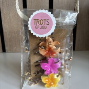 Avondvierdaagse traktatie | set van 3 haarklemmetjes