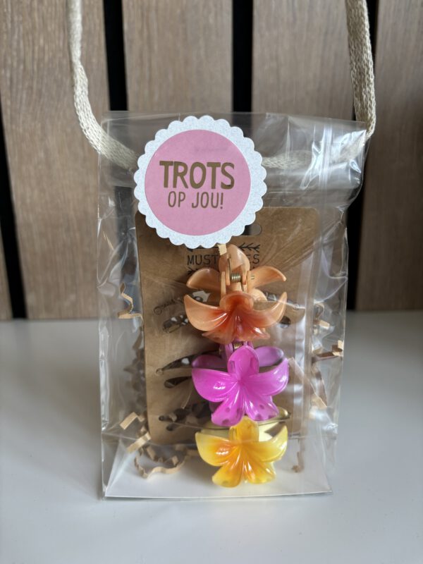 Avondvierdaagse traktatie | set van 3 haarklemmetjes