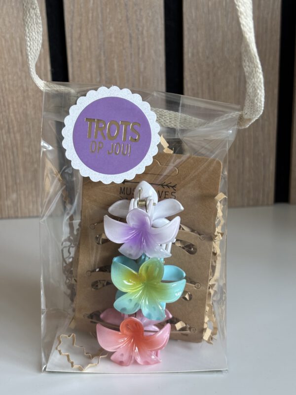 Avondvierdaagse traktatie | set van 3 haarklemmetjes