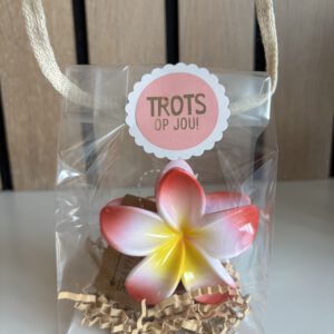 Avondvierdaagse traktatie | haarklem bloem roze