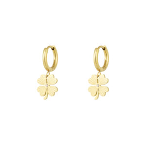 Oorbellen give me luck stainless steel