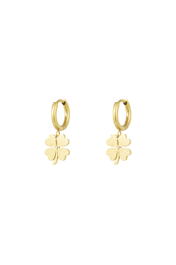 Oorbellen give me luck stainless steel