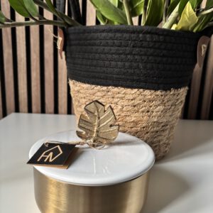 Housevitamin metalen pot met blad