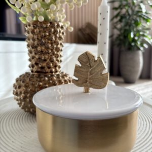 Housevitamin metalen pot met blad