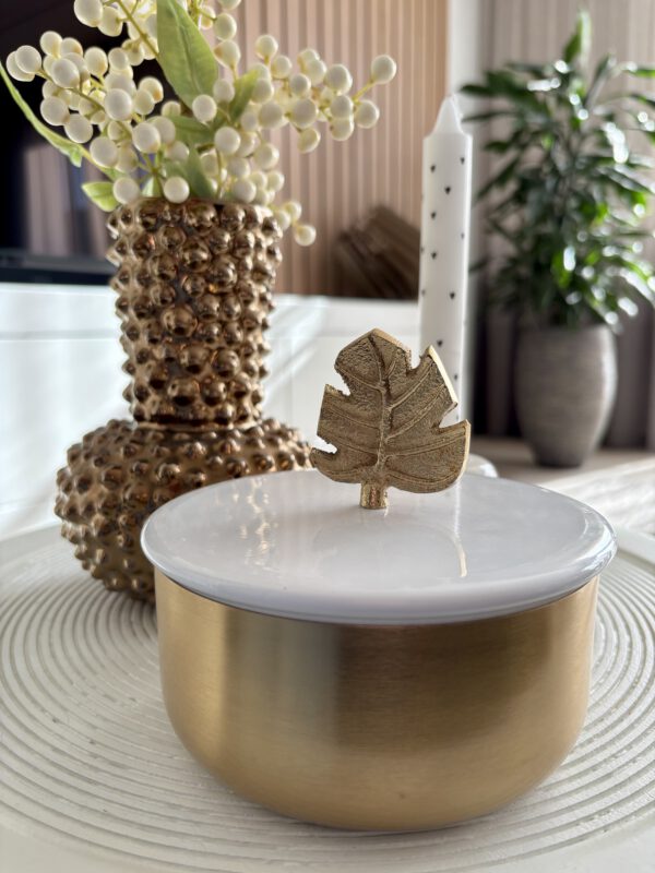 Housevitamin metalen pot met blad