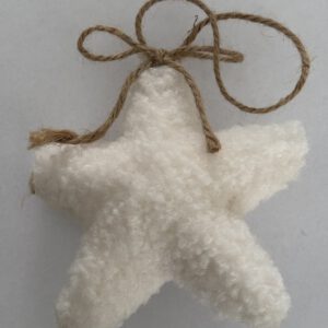 Teddy hanger ster off white