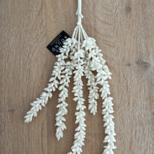 Erwtenplant off-white Homebound